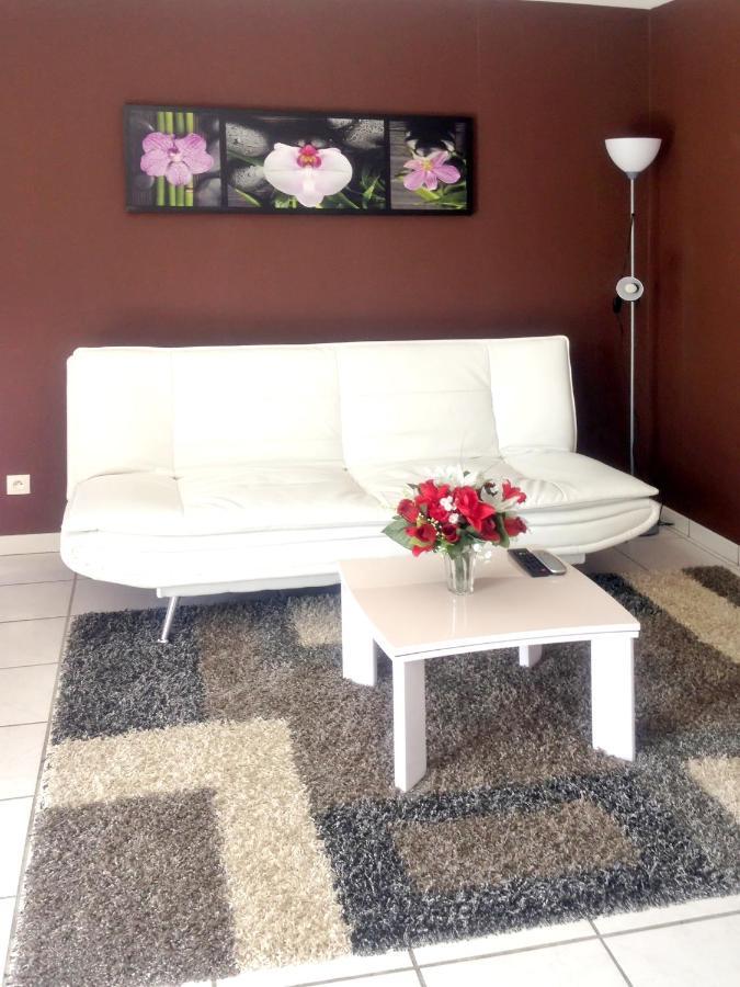 Appartement Charmant A Carcassonne Avec Terrasse Dış mekan fotoğraf